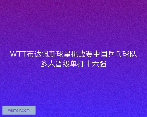 WTT布达佩斯球星挑战赛中国乒乓球队多人晋级单打十六强